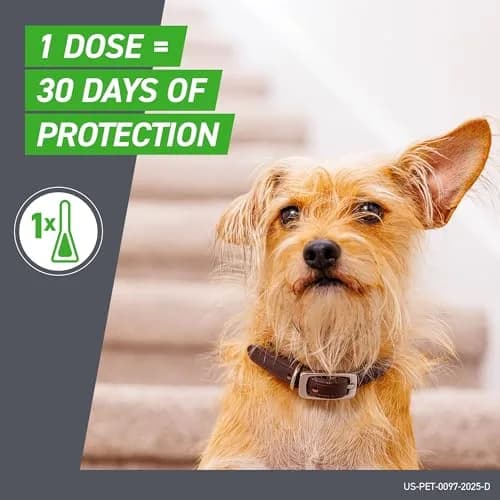 Frontline Plus Flea & Tick Treatment for Dogs 5-22 Pounds | Waterproof Monthly Protection thumbnail 5