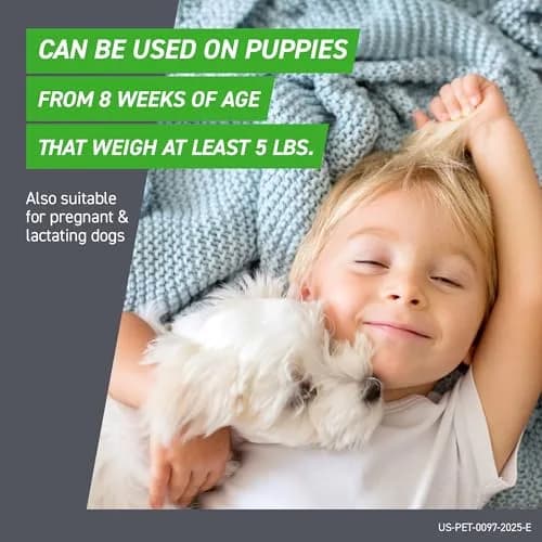 Frontline Plus Flea & Tick Treatment for Dogs 5-22 Pounds | Waterproof Monthly Protection thumbnail 6