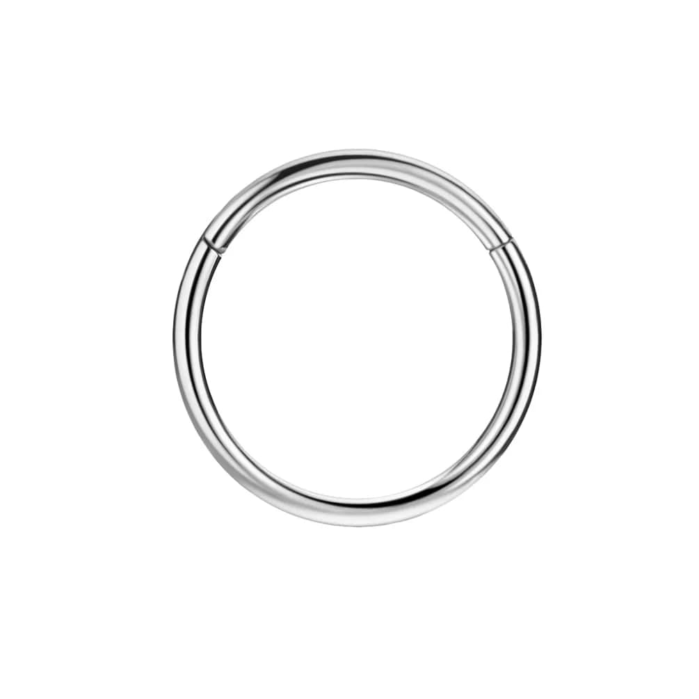 FANSING Silver Nose Hoop Hypoallergenic Nose Rings for Women & Men 18 Gauge 8mm | Comfortable, Durable & Easy to Wear