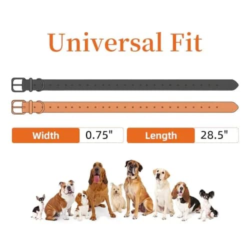 TrainPro Waterproof TPU Replacement Strap for Dog Training Collar, 27.5 in (70 cm) | Universal Fit for Bark & Shock Collars thumbnail 6