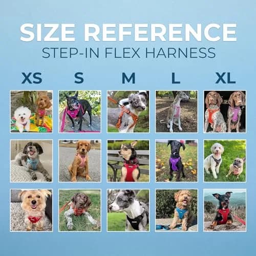 Best Pet Supplies Voyager Step-in Flex Dog Harness - Black, XL | Adjustable, Reflective, All Weather thumbnail 6