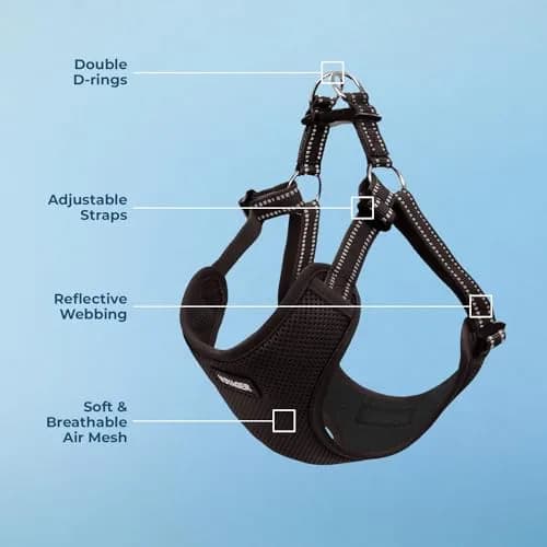 Best Pet Supplies Voyager Step-in Flex Dog Harness - Black, XL | Adjustable, Reflective, All Weather thumbnail 3