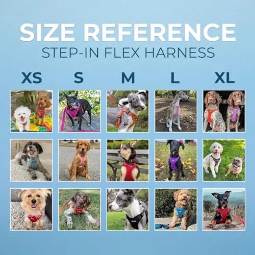 Best Pet Supplies Voyager Adjustable Step-In Mesh Dog Harness for Small Medium Large Dogs (Baby Blue), L | Breathable & Reflective Fit thumbnail 6