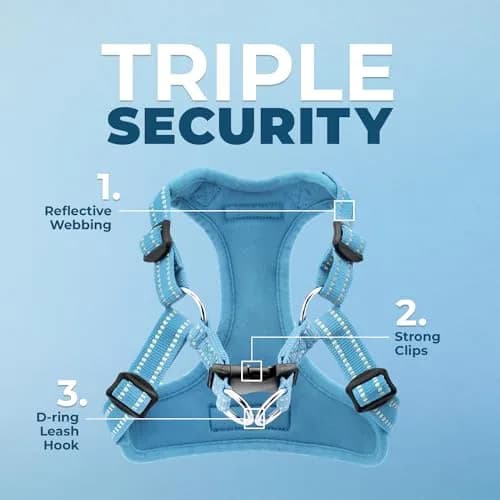 Best Pet Supplies Voyager Adjustable Step-In Mesh Dog Harness for Small Medium Large Dogs (Baby Blue), L | Breathable & Reflective Fit thumbnail 2