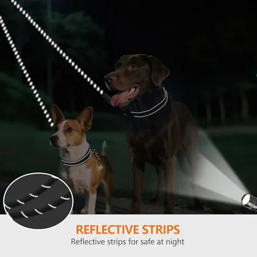 Taglory 30 Inch Black Double Dog Leash Coupler for Small & Medium Dogs | Tangle-Free 360° Swivel Dual Leash Extension thumbnail 4