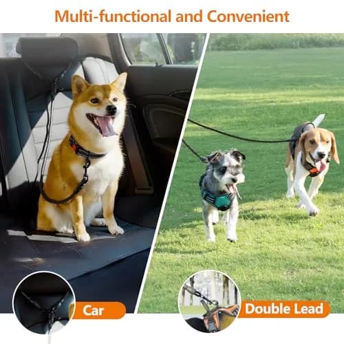 Taglory 30 Inch Black Double Dog Leash Coupler for Small & Medium Dogs | Tangle-Free 360° Swivel Dual Leash Extension thumbnail 3