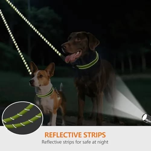 Taglory Double Dog Leash Coupler for Two Dogs, 30 Inch (76.2 cm) Green | Tangle-Free Walks with Reflective Rope thumbnail 4
