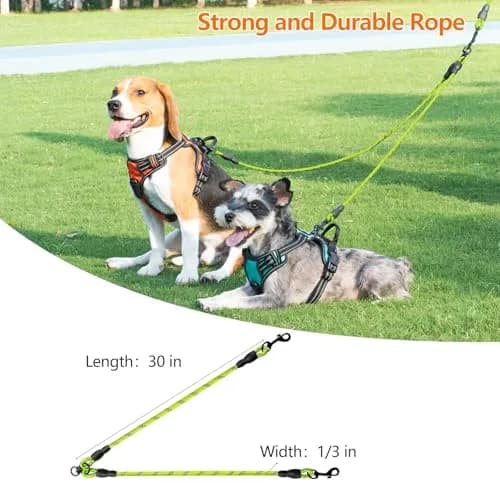 Taglory Double Dog Leash Coupler for Two Dogs, 30 Inch (76.2 cm) Green | Tangle-Free Walks with Reflective Rope thumbnail 5