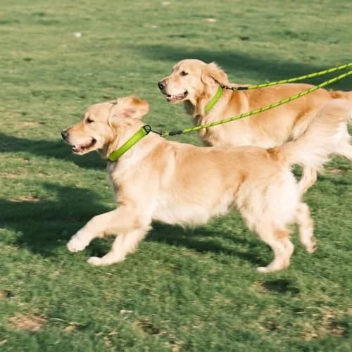 Taglory Double Dog Leash Coupler for Two Dogs, 30 Inch (76.2 cm) Green | Tangle-Free Walks with Reflective Rope thumbnail 7
