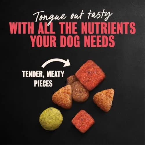 Cesar Small Breed Dry Dog Food Porterhouse Flavor & Spring Vegetables 2.27 kg (5 lb) | Real Beef First Ingredient thumbnail 6