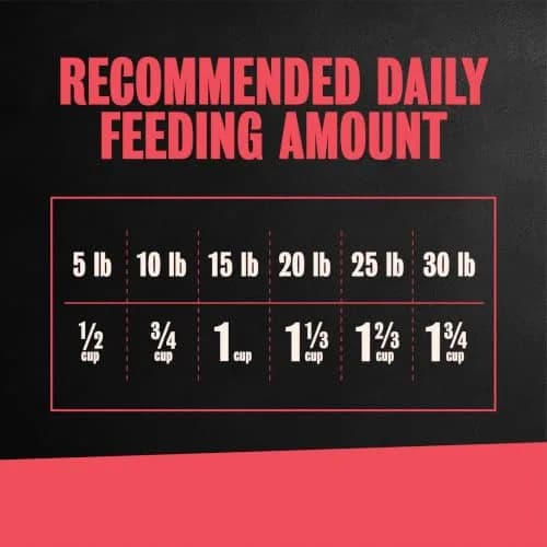 Cesar Small Breed Dry Dog Food Porterhouse Flavor & Spring Vegetables 2.27 kg (5 lb) | Real Beef First Ingredient thumbnail 7