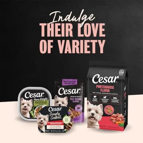 Cesar Small Breed Dry Dog Food Porterhouse Flavor & Spring Vegetables 2.27 kg (5 lb) | Real Beef First Ingredient thumbnail 9