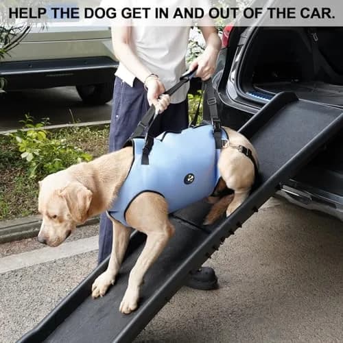 Coodeo Dog Lift Harness Blue 2XL | Professional Support for Old & Disabled Dogs thumbnail 5
