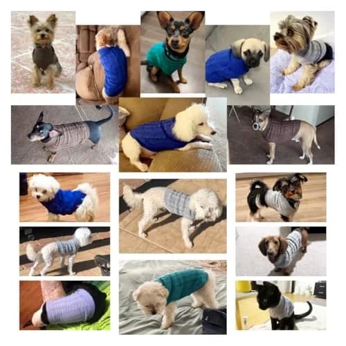 CHBORCHICEN Knitted Small Dog Sweater, Turtleneck Pullover | Warm Winter Puppy Clothes thumbnail 5