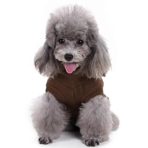 CHBORCHICEN Knitted Small Dog Sweater, Turtleneck Pullover | Warm Winter Puppy Clothes thumbnail 2
