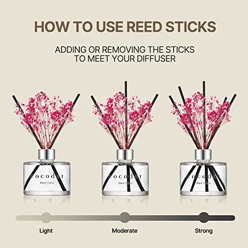 Cocod'or Reed Diffuser Set with Preserved Baby's Breath & April Breeze Scent 200ml (6.7oz) | Long-Lasting Home Fragrance thumbnail 4