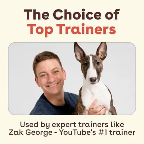 Pupford Freeze Dried Training Treats for Dogs & Puppies (Beef Liver, 4 oz) | All-Natural, Low-Calorie, Perfect for Training thumbnail 5