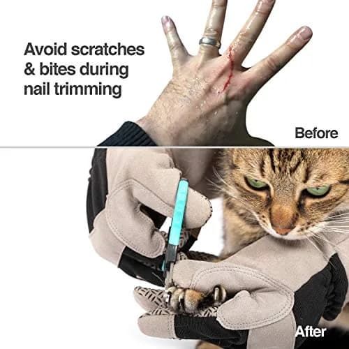 PetFusion Pet Grooming Gloves, Hair Removal & Bathing, Scratch Resistant | Water-Resistant, Reusable, Silicone thumbnail 3