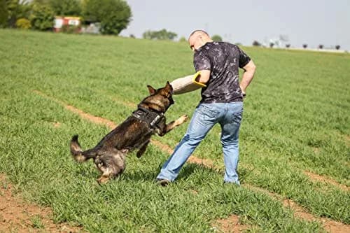 YES4QUALITY Dog Bite Sleeve for Large Dogs | Heavy Duty Canine Training Gear (20x12") thumbnail 8