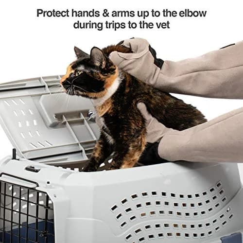 PetFusion Multipurpose Pet Glove for Grooming, Grey | Water-Resistant, Scratch & Puncture Protection thumbnail 5