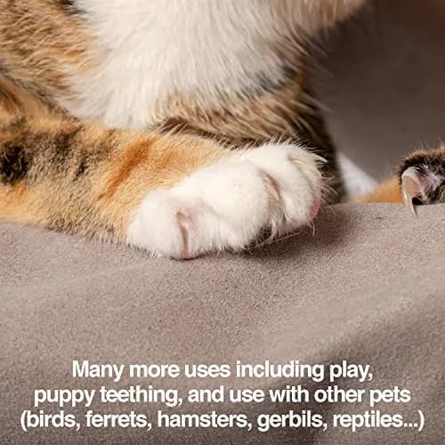 PetFusion Multipurpose Pet Glove for Grooming, Grey | Water-Resistant, Scratch & Puncture Protection thumbnail 7