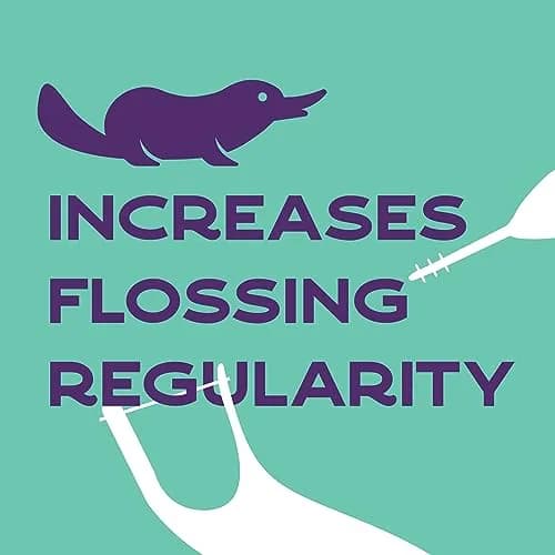 Platypus Orthodontic Flossers for Braces, 60 Count (Pack of 2) | Orthodontist Recommended for Daily Use thumbnail 7