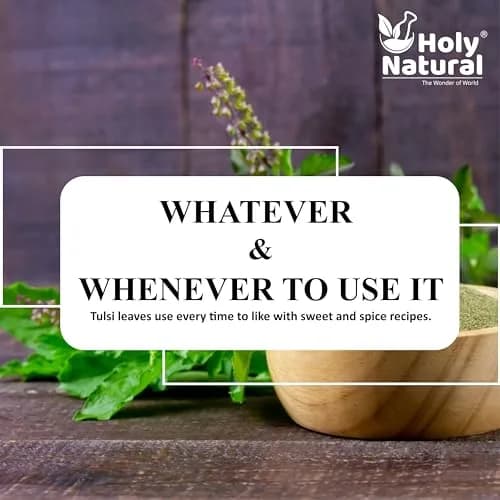 Holy Natural Basil Leaves Dried 200Gm | Organic Sweet Basil for Cooking & Tea thumbnail 8