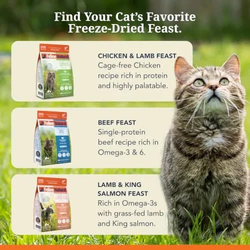 Feline Natural Beef & Hoki Freeze Dried Cat Food 100g (3.5oz) | 98% Meat High Protein Diet thumbnail 8
