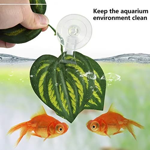 SLSON Fish & Aquarium Veggie Seaweed Clip 4 Pack | Aquarium Feeding & Decoration Tool thumbnail 4
