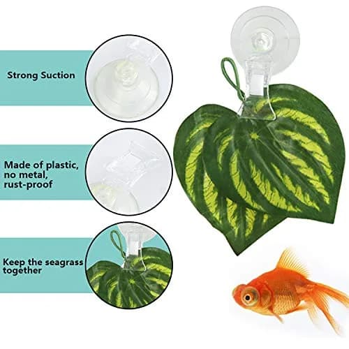 SLSON Fish & Aquarium Veggie Seaweed Clip 4 Pack | Aquarium Feeding & Decoration Tool thumbnail 3