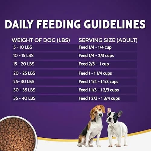 Zignature Trout & Salmon Limited Ingredient Formula Small Bites Dry Dog Food 12.5lb | Supports Digestive & Coat Health thumbnail 6