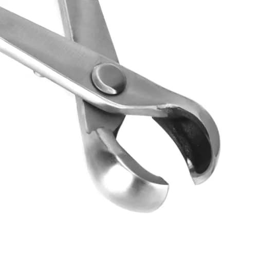 TOPINCN Bonsai Tool Branch Cutter Stainless Steel Garden Knob Cutter 210mm thumbnail 5