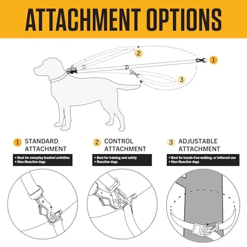 Carhartt Large Black Nylon Webbing Dog Leash 1.83 m (6') | Reflective Stitching for Visibility thumbnail 4