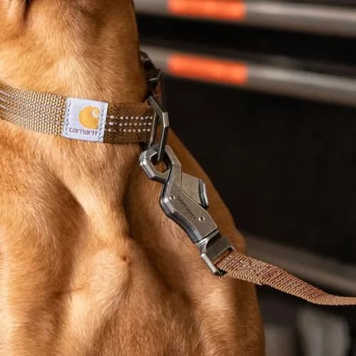 Carhartt Large Black Nylon Webbing Dog Leash 1.83 m (6') | Reflective Stitching for Visibility thumbnail 5
