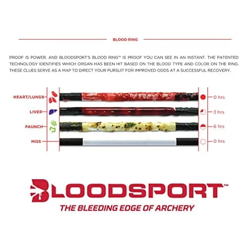 Bloodsport Judgement Arrow 31" | Precise Lightweight Carbon for Hunting thumbnail 3
