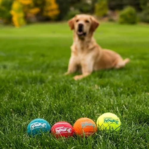 Outward Hound Squeaker Ballz Tennis Ball Dog Toy, Medium 2.5" (6.4 cm) 4-Pack | Durable, Bouncy, and Highly Visible Fetch Toys thumbnail 5