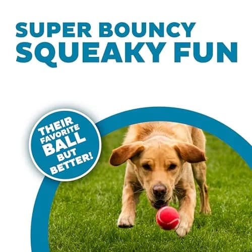 Outward Hound Squeaker Ballz Tennis Ball Dog Toy, Medium 2.5" (6.4 cm) 4-Pack | Durable, Bouncy, and Highly Visible Fetch Toys thumbnail 2