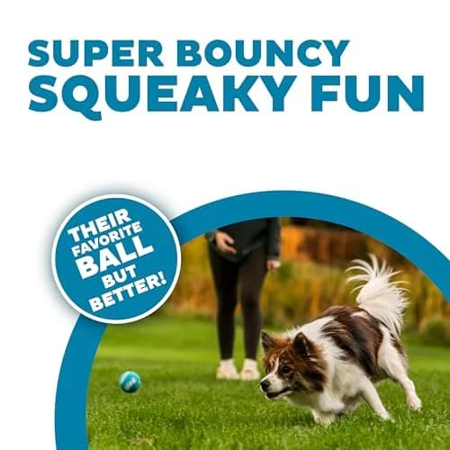 Outward Hound Squeaker Ballz Tennis Ball Dog Toy, Small 2" (5 cm) 4-Pack | Durable & Bouncy Fetch Toy for Dogs Under 25 lbs thumbnail 2