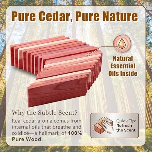 Cedar Space Cedar Blocks for Clothes Storage 16 PCS | 10.3cm Cedar Chips for Closets thumbnail 7