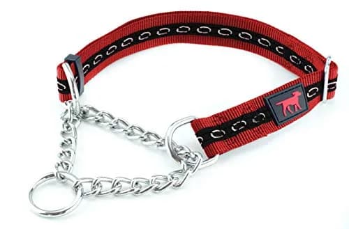Tuff Pupper Martingale Dog Collar for Small Dogs (12-20" Neck) | Gentle Nylon & Stainless Steel Chain for Training thumbnail 1