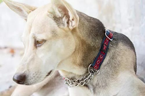 Tuff Pupper Martingale Dog Collar for Small Dogs (12-20" Neck) | Gentle Nylon & Stainless Steel Chain for Training thumbnail 6