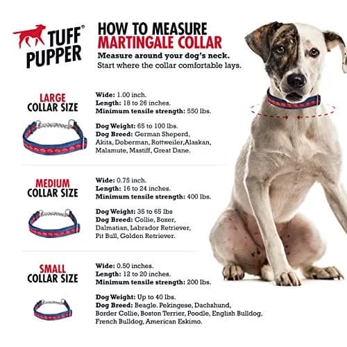 Tuff Pupper Martingale Collar for Dogs | No Pull Adjustable Nylon & Steel Chain | Medium (16-24") Neck thumbnail 3