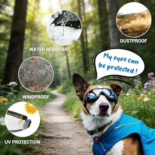 NAMSAN Dog Sunglasses for Medium to Large Dogs, UV Protection Dog Goggles 16.5cm (6.5in) | Sporty Black thumbnail 4