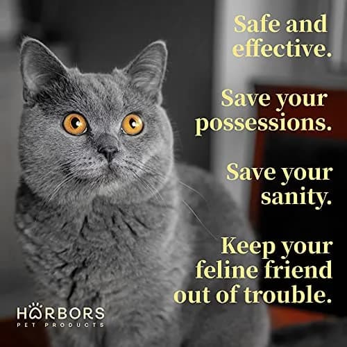 Harbor's Pet Products Cat Scratch and Chewing Deterrent Spray 236ml (8 Fl Oz) | Safe Essential Oil Formula for Furniture and Plants thumbnail 5