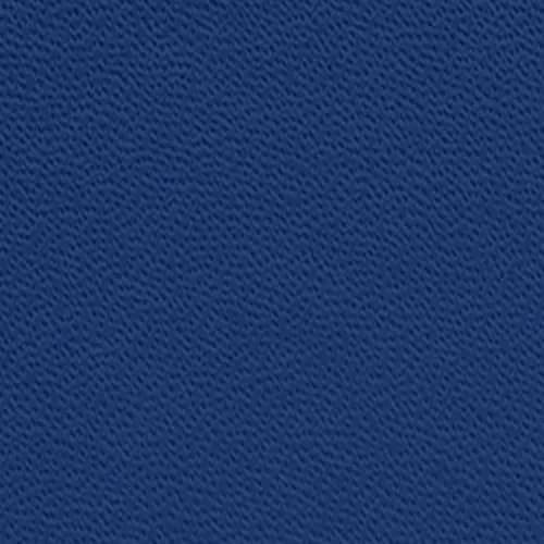 PAPERAGE Royal Blue Hardcover Journal Notebook, 5.6" x 8", 160 Pages, 100 GSM Thick Paper | Premium Journal for Work, School & Note Taking — D. Blank / Royal Blue