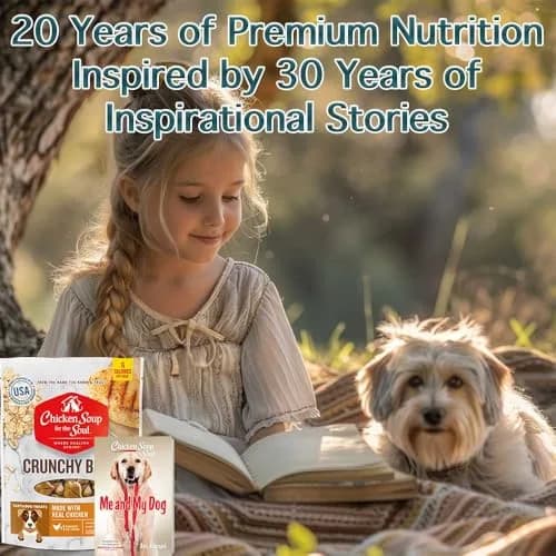 Chicken Soup for the Soul Pet Food Crunchy Bites Dog Treats, Chicken, 12 Ounce Bag | Soy, Corn & Wheat Free thumbnail 5