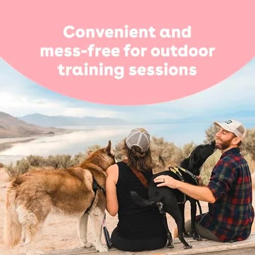 Pupford Freeze Dried Dog & Puppy Training Treats Sweet Potato | All Natural, Low Calorie, 4 oz thumbnail 4