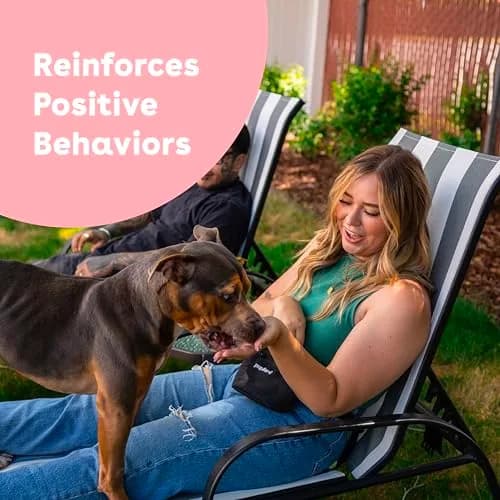 Pupford Freeze Dried Dog & Puppy Training Treats Sweet Potato | All Natural, Low Calorie, 4 oz thumbnail 3