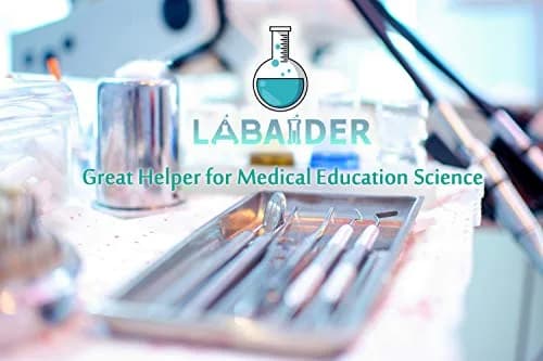 LabAider Stainless Steel Dental Procedure Tray 21.9 cm (8.6") | 3-Pack Flat Type for Medical & Lab Use thumbnail 7