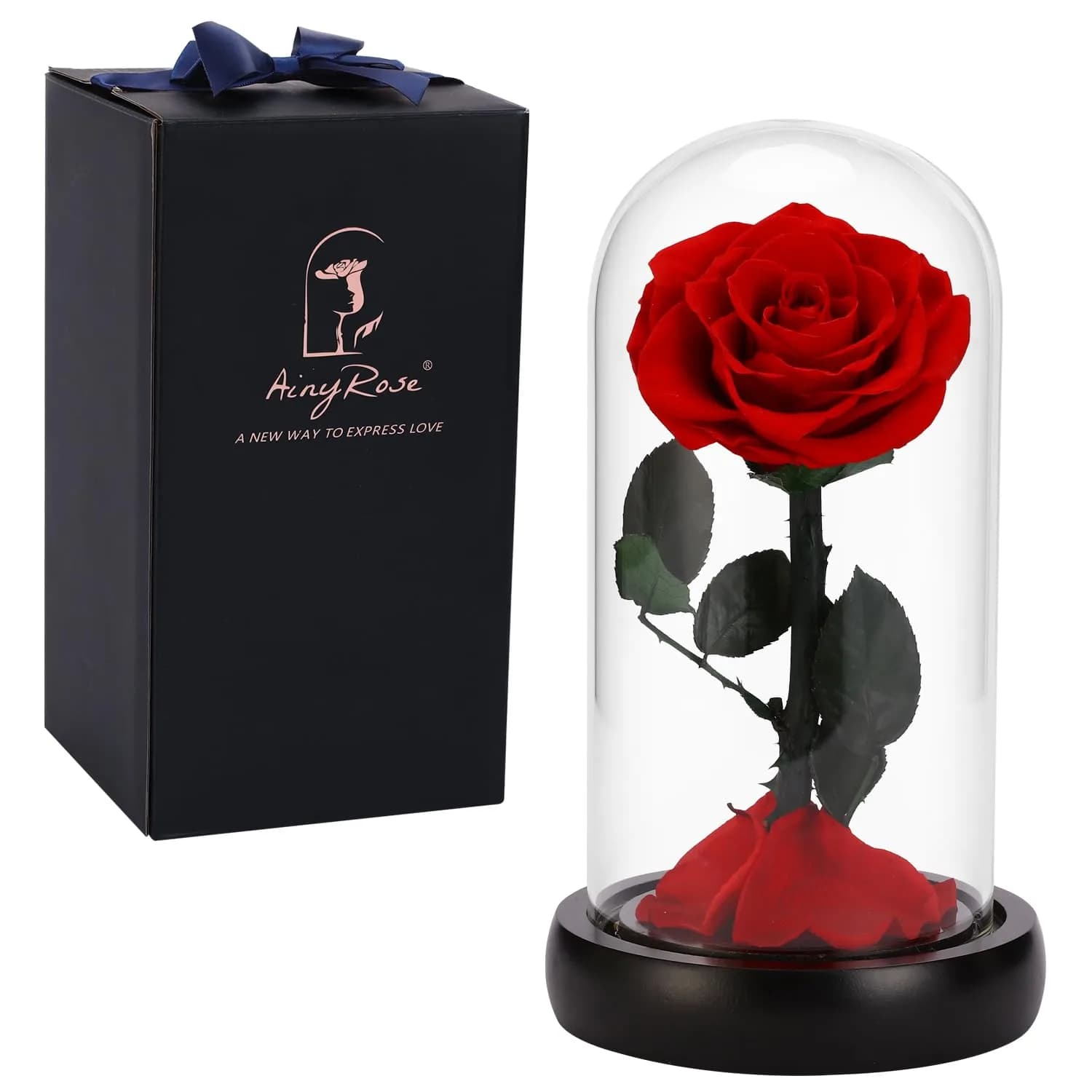 SW Forever Preserved Rose in Glass Dome, Red | Eternal Rose for Gifting